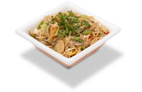 Tasty vegetable hakka noodles